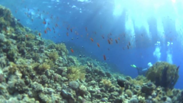 Юрко Шелестюк путешествие в Египет Yurko Shelestiuk Travel to Egypt Sharm El Sheikh смотреть онлайн