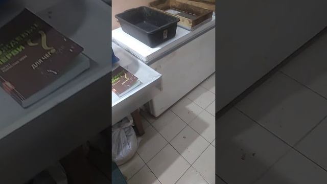 Для начинающих.