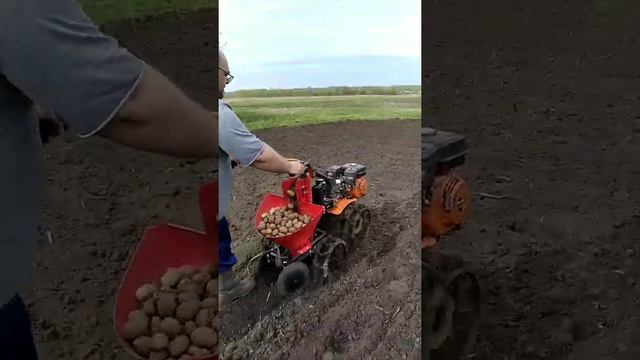 Картофелесажалка за мотоблок патриот смотреть онлайн