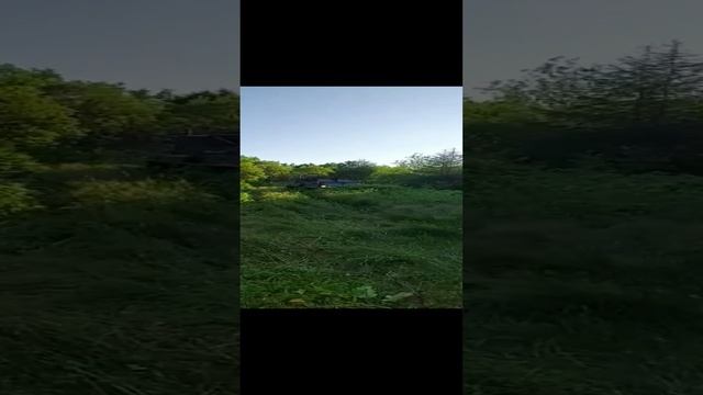 По бездорожью на Вездеходе ГАЗ 71, с установленым Двигателем от Toyota Land Cruiser 2H. смотреть онлайн