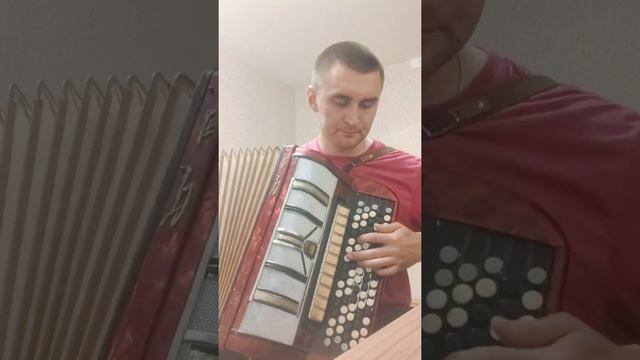 Сергей Наговицын - Малолетки (cover на баяне) смотреть онлайн