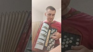 Сергей Наговицын - Малолетки (cover на баяне)