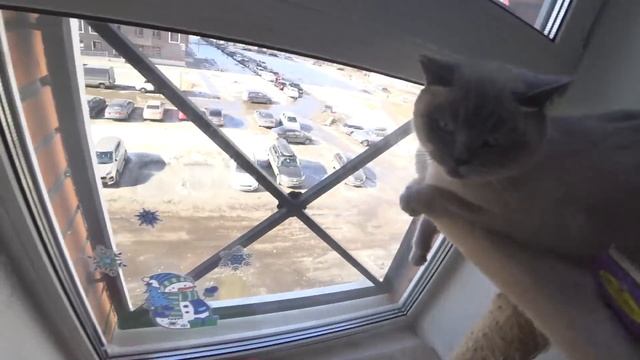 Не могу сдать анализы ребёнку\\комиссия ТПМПК приедет к нам домой\\ смотреть онлайн