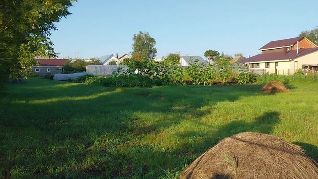 Живу Одна в Деревне//Ищу пропажу// смотреть онлайн