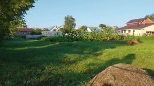 Живу Одна в Деревне//Ищу пропажу//