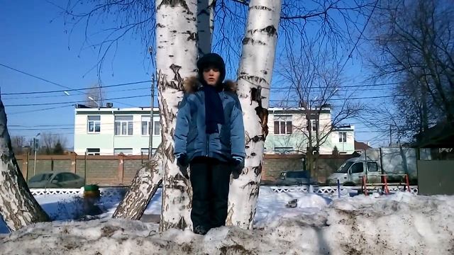 Страна читающая — Марк Хабин читает произведение «Весенние воды» Ф. И. Тютчева смотреть онлайн