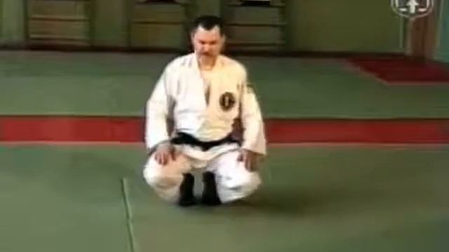 Гошин рю полицейский вариант рукопашного боя 19 2