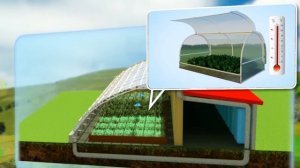 Био Вегетарий солнечный это будущее Человечества !