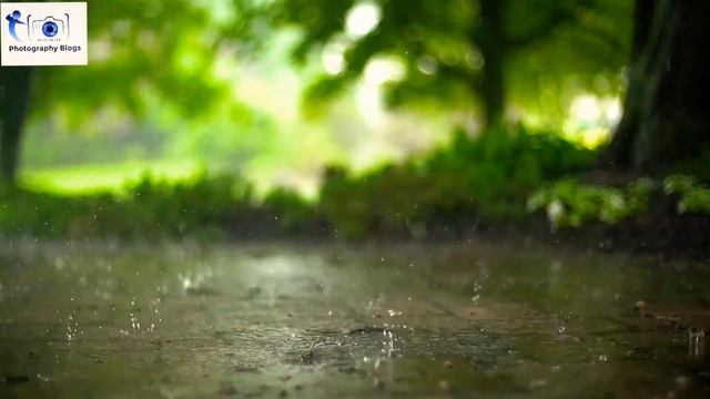 NIKON P1000 Ultra Slowmotion Nature Video | Latest 2020 | #NIKON #photographyblogs смотреть онлайн