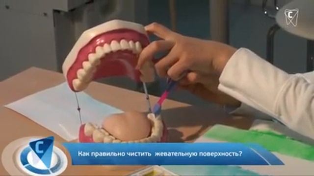Как научить ребенка чистить зубы смотреть онлайн