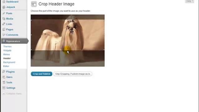 Wordpress Tutorial For Beginners - Changing Header Banner Picture смотреть онлайн