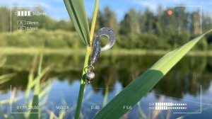 А грамм потянет? CF Sub Zero