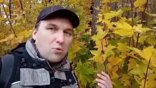 Саранский поэт Александр Петров-Чиршев посвящает стих осени! смотреть онлайн