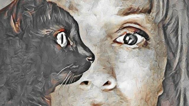 « Женщина - кошка » / Стихотворение / Татьяна Ларина смотреть онлайн