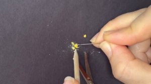 ОПЫЛЕНИЕ ФИАЛКИ. СЕЛЕКЦИЯ СЕНПОЛИЙ. СЕМЕНА УЗУМБАРСКОЙ ФИАЛКИ.