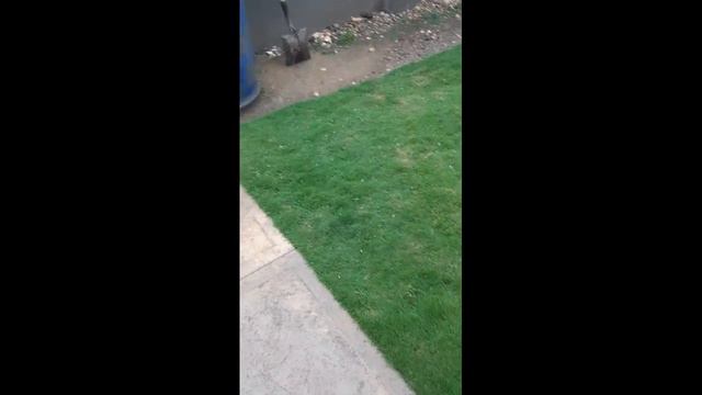 Hail falling in Clarendon [Jamaica] August 30, 2020 #smallyoutuber #hailstorm #clarendon #jamaica смотреть онлайн