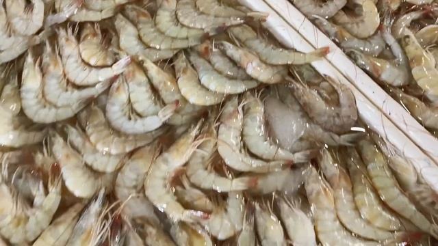 Экологическая катастрофа на Бали / Мусорные пляжи / Цены на морепродукты / Рыбный рынок Бали смотреть онлайн