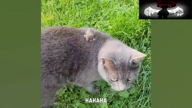 Ёма ё №10 смотреть онлайн