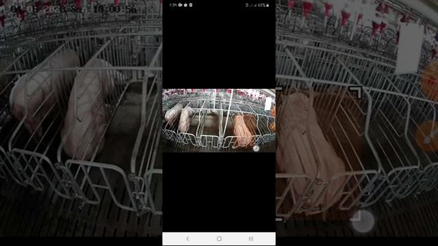 acron box | workbox | easy ভাবে task approve করুন | instant পেমেন্ট | crypto area bd смотреть онлайн