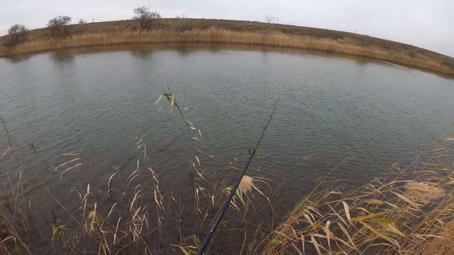 Рыбалка в Караганде 29 канал 07.10.2020 смотреть онлайн