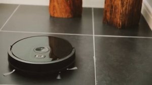 ?Робот-пылесос?