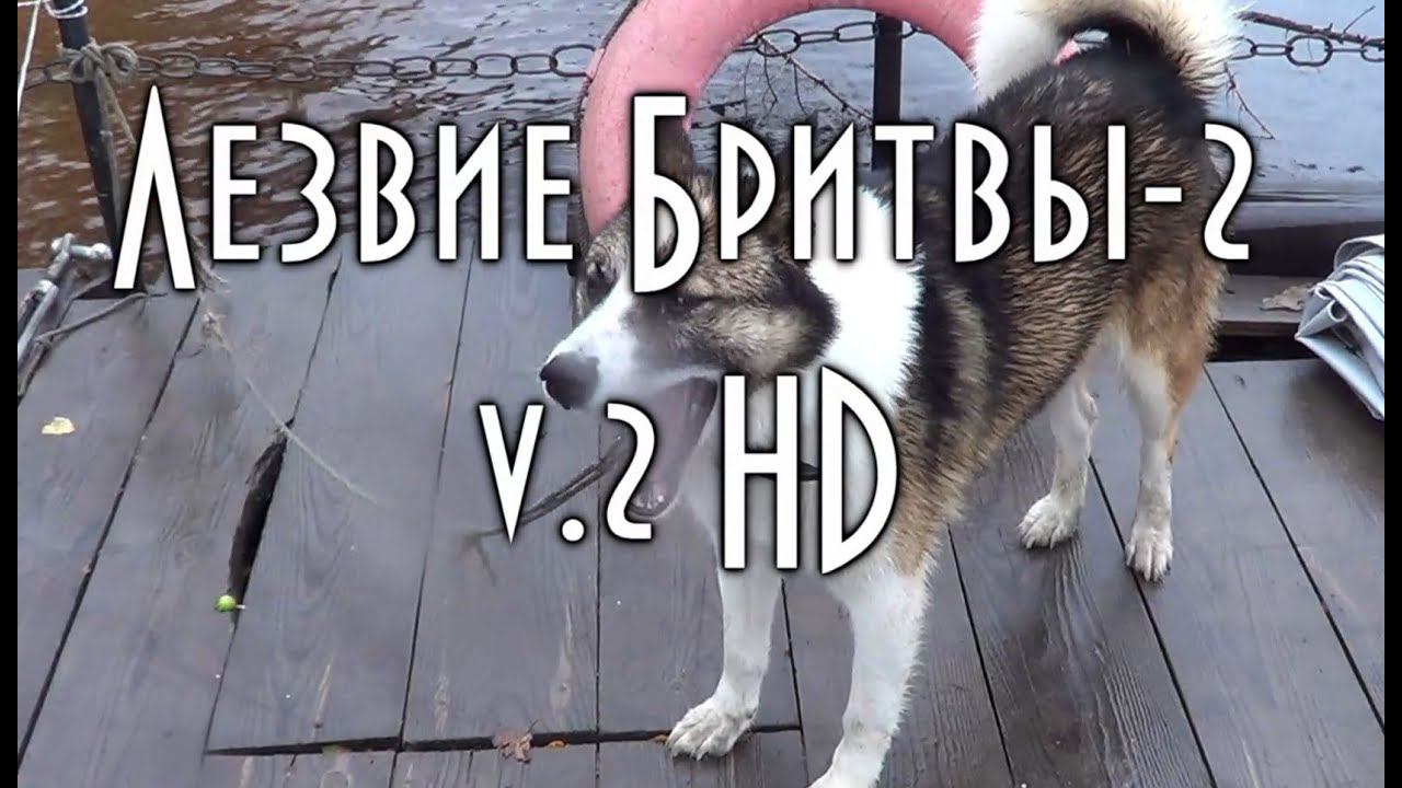 Рыбалка в тайге у Станового Хребта, Путешествие по таежной реке Зея смотреть онлайн