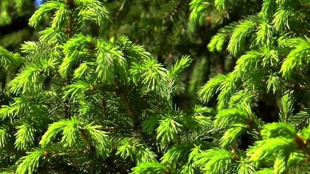 Бог Уж (Аз) - змеиный царь / МИФЫ СЛАВЯН смотреть онлайн