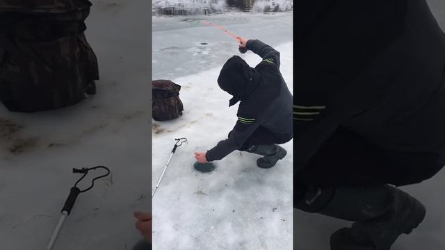 Ловля форели со льда смотреть онлайн