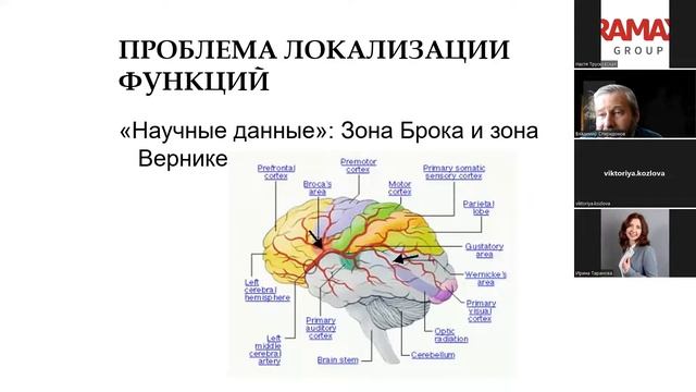 Сознание и мозг: современные решения психофизической проблемы смотреть онлайн