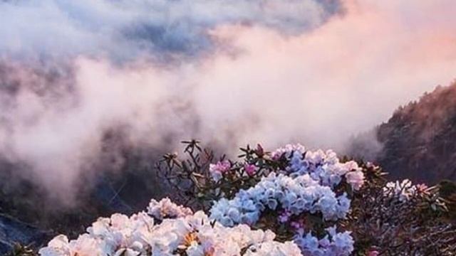 Андрей шел по своей улице злой, как тигр. Лена вдруг решила выйти замуж за Славку. Истории из жизни смотреть онлайн