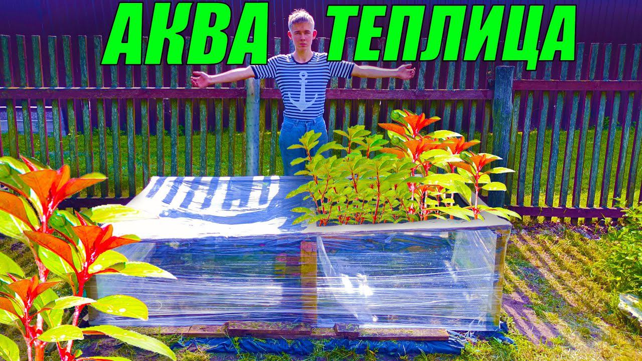 Акватеплица для аквариумных растений спустя месяц! ГЛАВНАЯ ОШИБКА! смотреть онлайн