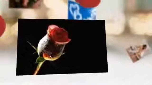 Язык цветов О чём говорят красные подаренные розы смотреть онлайн