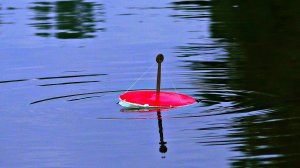 ЛОВЛЯ КАРПА НА КРУЖКИ ОСЕНЬЮ 2022! Рыбалка на волосяную оснастку.