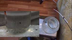 @Начинающему рыболову. Игра мормышкой. Тренировка в банке