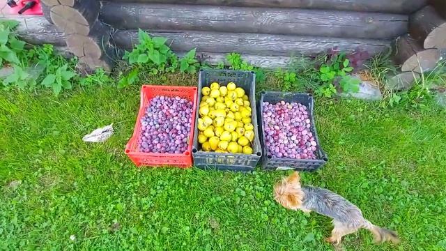 Учим Делать Качественно