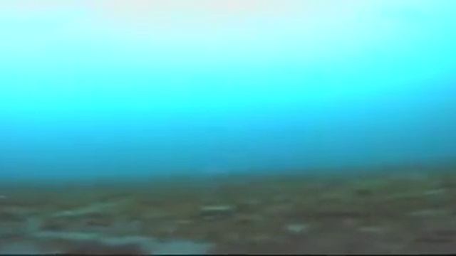 09.03.2019 г. Подводная съемка на глубине 8 метров, страшный удар Наваги смотреть онлайн