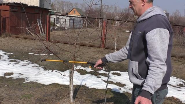 Болезни вишни и методы лечения смотреть онлайн