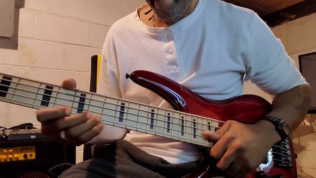 Ibanez ANB205 Adam Nitti Signature 5-String Bass смотреть онлайн