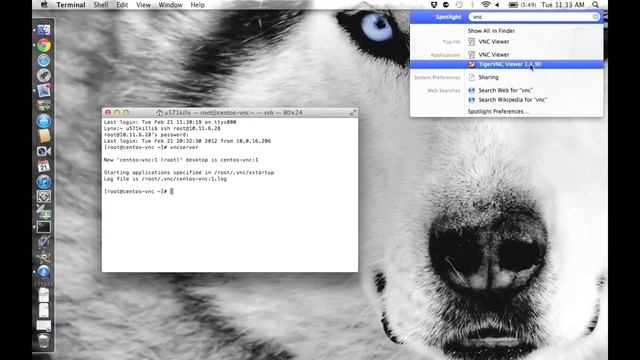 Connect to VNC (Mac OS X) смотреть онлайн