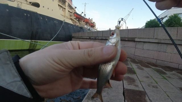 #244 Мормышинг | Нева | Безмотылка | смотреть онлайн