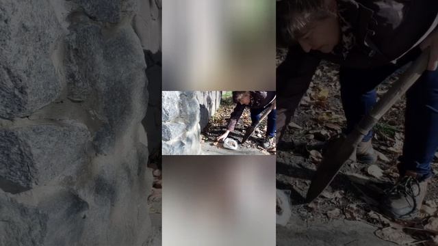 Нарциси потрібно намочити отрутою Актора називається тоді здоровим рости буде смотреть онлайн