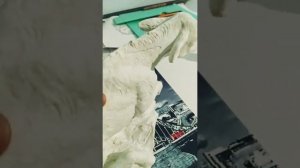 как склеить гипс