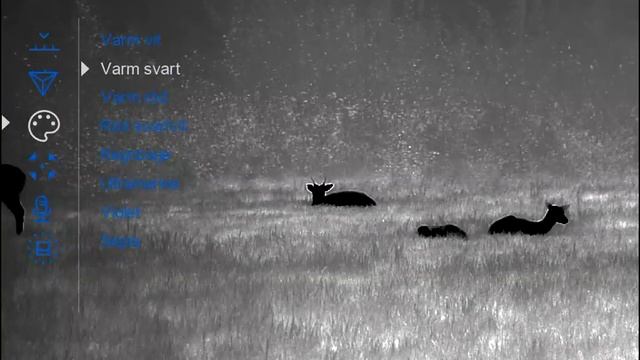 Pulsar Helion 2 XP50 Pro - Svenska Menyer (New Firmware Aug 2021 with Swedish Menu System). смотреть онлайн