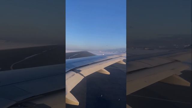 Наш путь домой. Хабаровск- Южно- Сахалинск. Кавалер Кинг Чарльз Спаниель. ККЧС. Питомник Zhemi Dar. смотреть онлайн