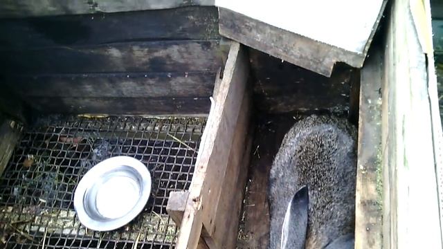 Как сделать клетку для кроликов (для самца)Жизнь в деревне!!! смотреть онлайн