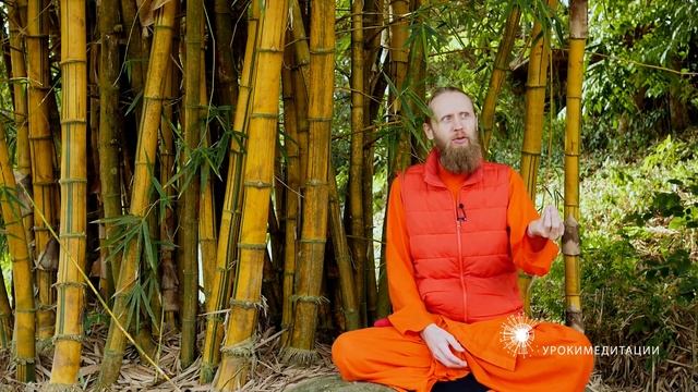 Как шутить? Йога для мужчин или для женщин? Медитация во время ходьбы. смотреть онлайн