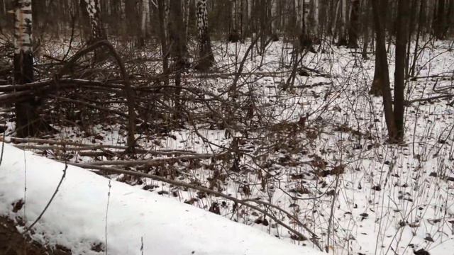 Сергуня спрятал клад №15, настоящий подарок пирату! смотреть онлайн