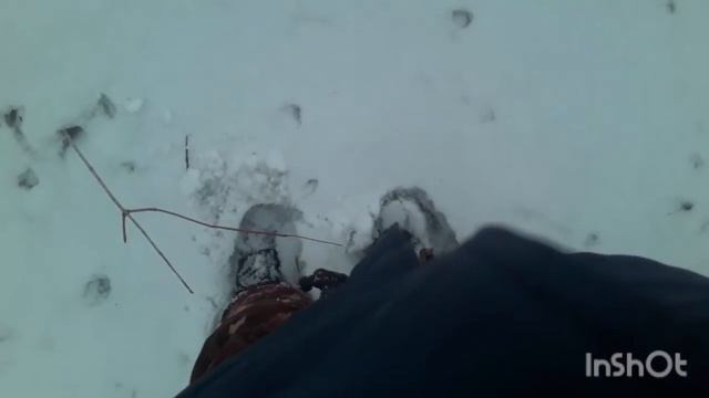 ИВАН ТРЯСОГУЗКИН ИЩЕТ МЕТАЛЛЫ смотреть онлайн