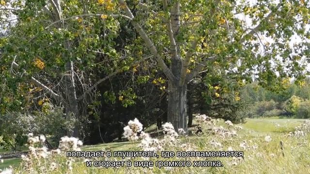 Что стреляет в глушитель - причины хлопков из выхлопной трубы смотреть онлайн