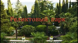 Отель Нева! Пансионаты, Гостиницы, Санатории, Отдых в Крыму в Алуште! Цены, Отзывы.